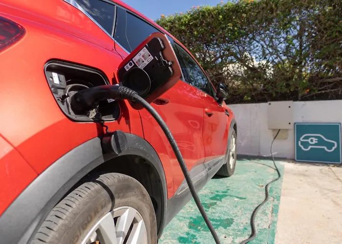 Piedra Paloma Estepona