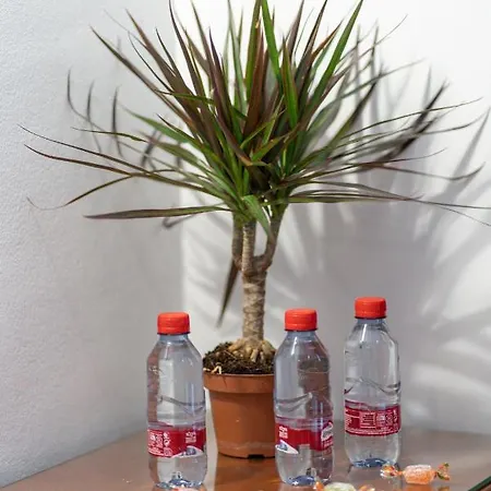 Hotel Piedra Paloma Estepona