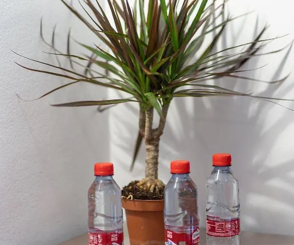 Готель Piedra Paloma Естепона